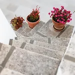 Mina Villa