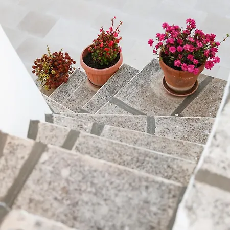 Mina Villa