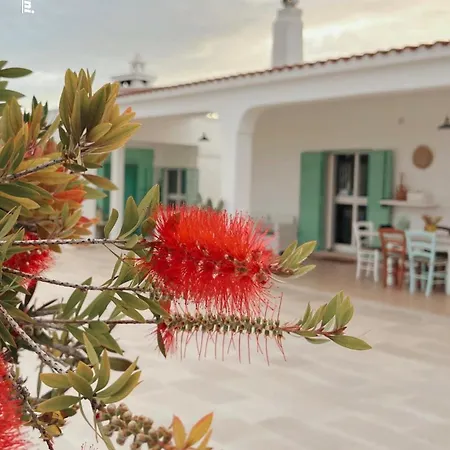 Villa Mina *